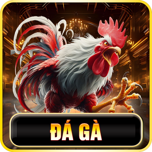 ww88-da-ga